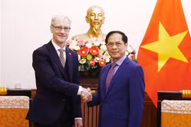 Vietnam highly values traditional ties with Norway: Foreign Minister