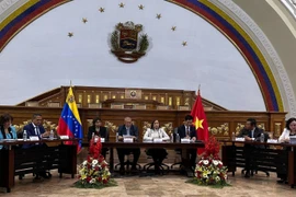 Vietnam, Venezuela enhance cooperation in ethnic affairs