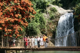 Quang Nam promotes tourism in mountainous areas