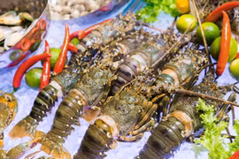 Chinese market favours Vietnamese lobster but prices are rocky