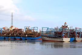 Nam Dinh applies drastic measures to prevent, combat IUU