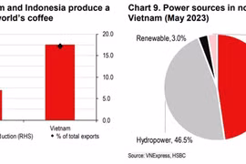 Vietnam’s rice and coffee acutely vulnerable from El Nino: HSBC economists