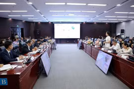 Workshop talks cooperation between Da Nang, Japan