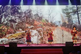Vietnam - India art exchange held in Lao Cai