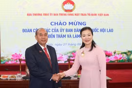 VFF Central Committee, Lao NA’s Ethnic Affairs Committee promote cooperation