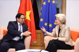 Vietnam rides through economic difficulties