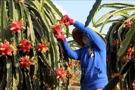 Minister asks India to open market for farm produce