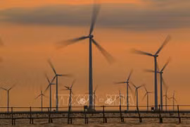 Measures sought to increase localisation rate in wind, solar power development