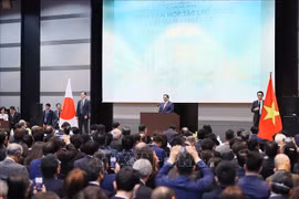 PM calls for stronger Vietnam-Japan labour cooperation
