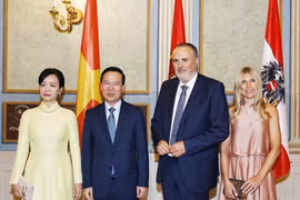 President Vo Van Thuong meets governor of Burgenland state of Austria
