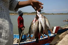 Indonesia encourages increased processing in agriculture, fisheries