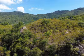 Diverse ecosystems turn Nui Chua World Biosphere Reserve into tourist attraction