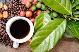 Buon Ma Thuot Coffee Festival 2023 to take place in March