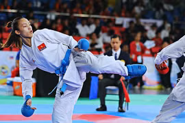 Vietnam tops Southeast Asian Karate Championships