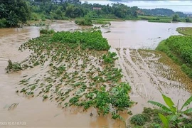 Four died, one missing due to heavy rain, floods in northern provinces