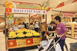 Hanoi moves to help firms join foreign distribution systems
