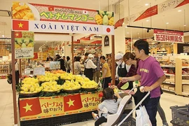 Hanoi moves to help firms join foreign distribution systems