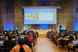 Election to World Heritage Committee affirms Vietnam’s sound foreign policy: Diplomat