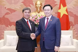 National Assembly eager for experience sharing, exchange with Laos: leader