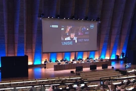 Vietnam elected vice chair of UNESCO committee for cultural diversity protection