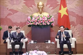 Vietnam attaches importance to expanding ties with Russia: NA Chairman