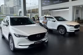 Vietnamese auto market goes sideways in second consecutive month