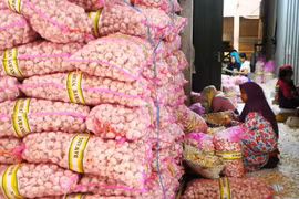 Indonesia to cut 40% garlic imports in 2024
