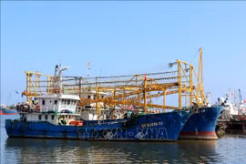 Quang Tri conducts peak crackdown on IUU fishing