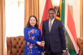Vietnam, South Africa should further bolster economic ties: Diplomat
