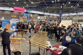Vietnamese culture spotlighted at Asian fair in France