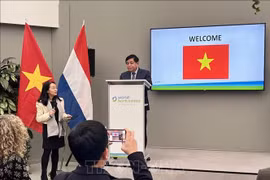 Vietnam, Netherlands exalt smart agricultural collaboration