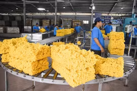 Investment projects help tighten Vietnam-Laos relations