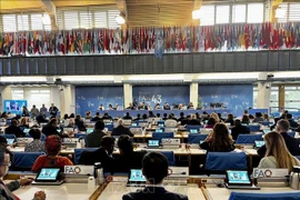 Vietnam attends 43rd Session of Ministerial-level FAO Conference