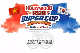 Teams from Vietnam, RoK to meet in billiards super cup