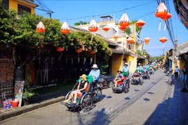 About 9 million Vietnamese travel during Tet