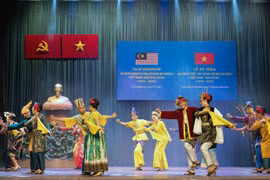 Vietnam, Malaysia see myriad development, investment opportunities: expert