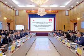 Vietnam-Japan Joint Initiative plays role in raising Vietnam’s FDI attractiveness: meeting 