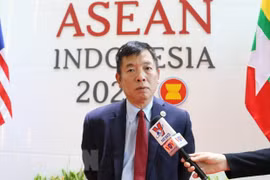 Summit reflects common efforts to turn ASEAN into growth epicentre: ambassador