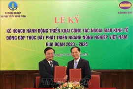 Economic diplomacy to be promoted to fuel agricultural development