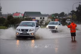Sympathies to New Zealand on heavy losses by Cyclone Gabrielle