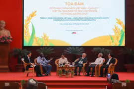 Vietnam-Africa workshop supports food system transformation