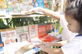 Da Nang to provide free schooling for next year