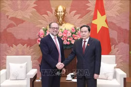 Permanent NA Vice Chairman delighted at Vietnam-Austria ties