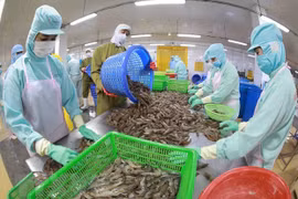 Global shrimp demand expected to rebound from Q2
