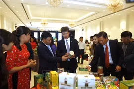 Yen Bai promotes investment cooperation with RoK businesses