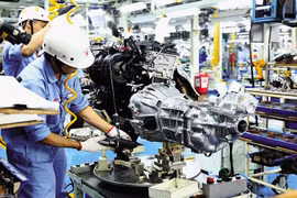 Most of surveyed German firms plan expansion in Vietnam