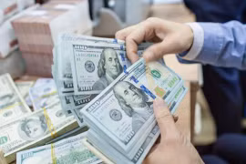 Remittances boost HCM City growth 