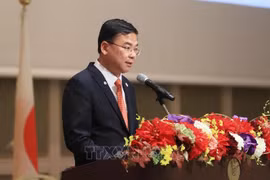 PM’s trip to help bolster ASEAN-Japan, Vietnam-Japan relations: diplomat