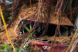 Bodies of three Lam Dong landslide victims found