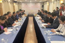 Lao Front delegation pays working visit to HCM City